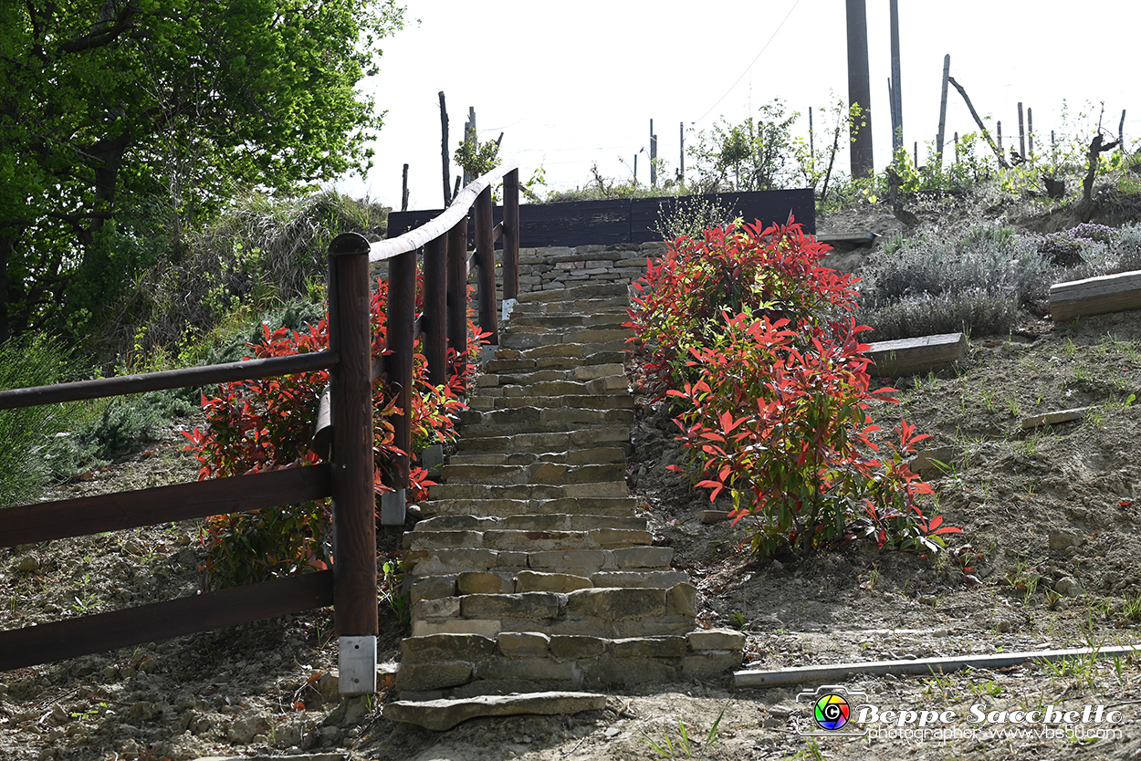 VBS_3271 - Mango (Cuneo) - Gnomovia.jpg